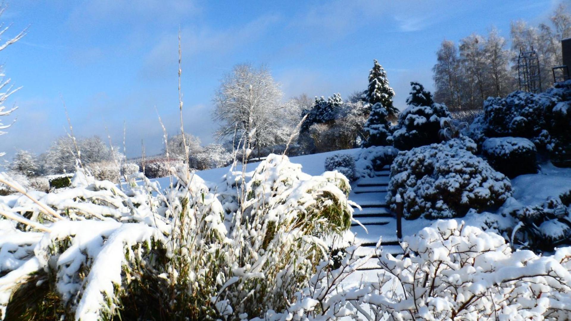 Le Renard'Or Bed & Breakfast Trois-Ponts Exterior foto