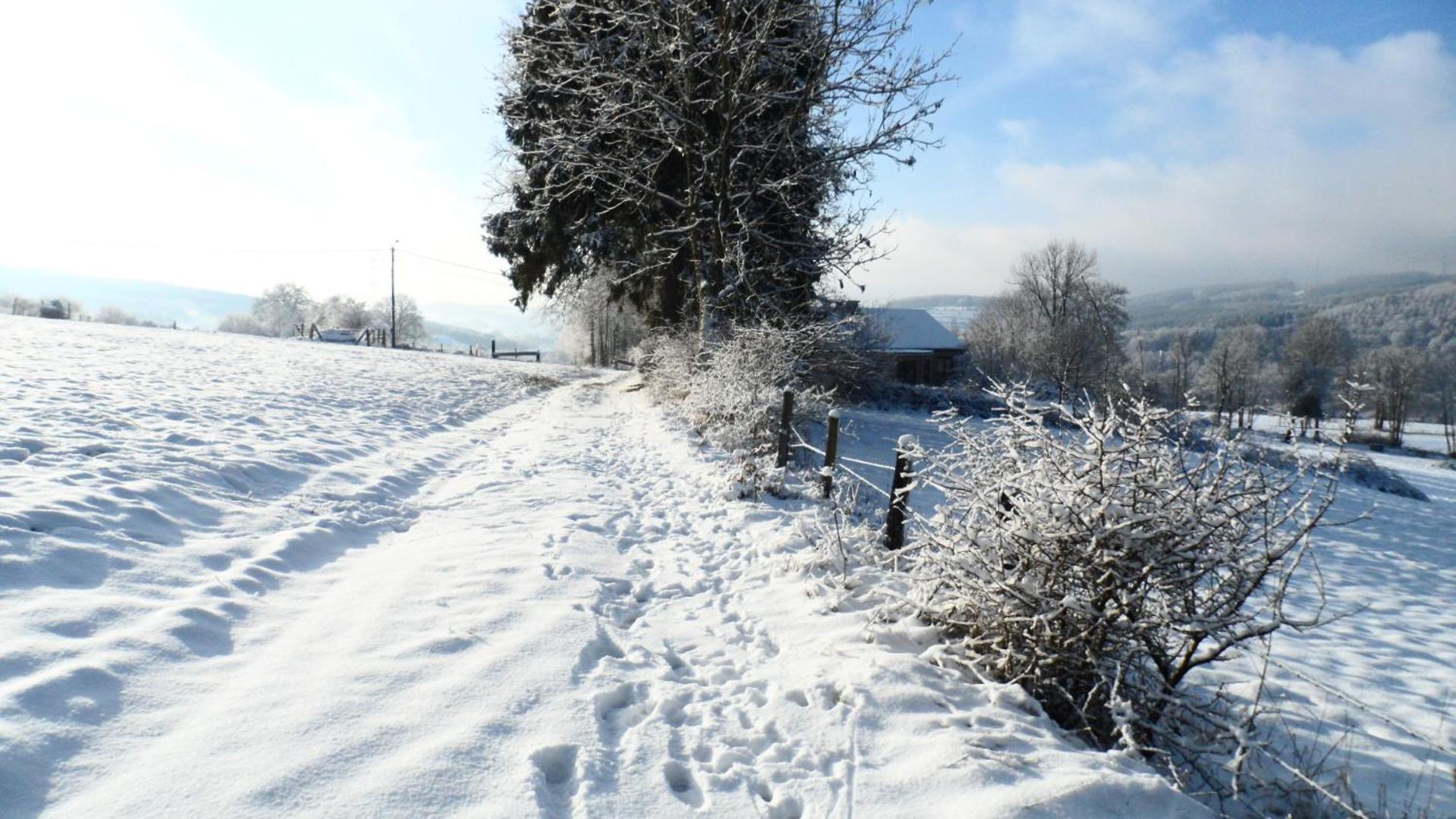 Le Renard'Or Bed & Breakfast Trois-Ponts Exterior foto