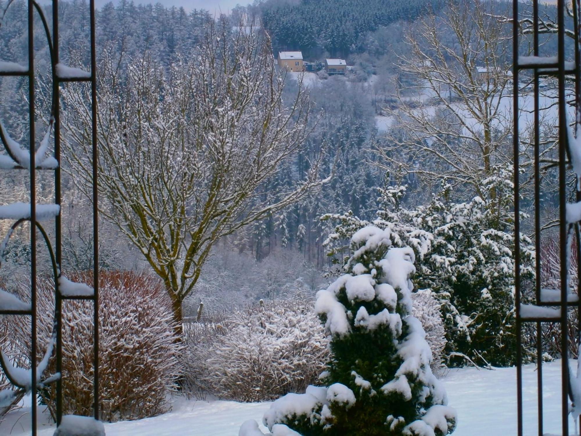 Le Renard'Or Bed & Breakfast Trois-Ponts Exterior foto