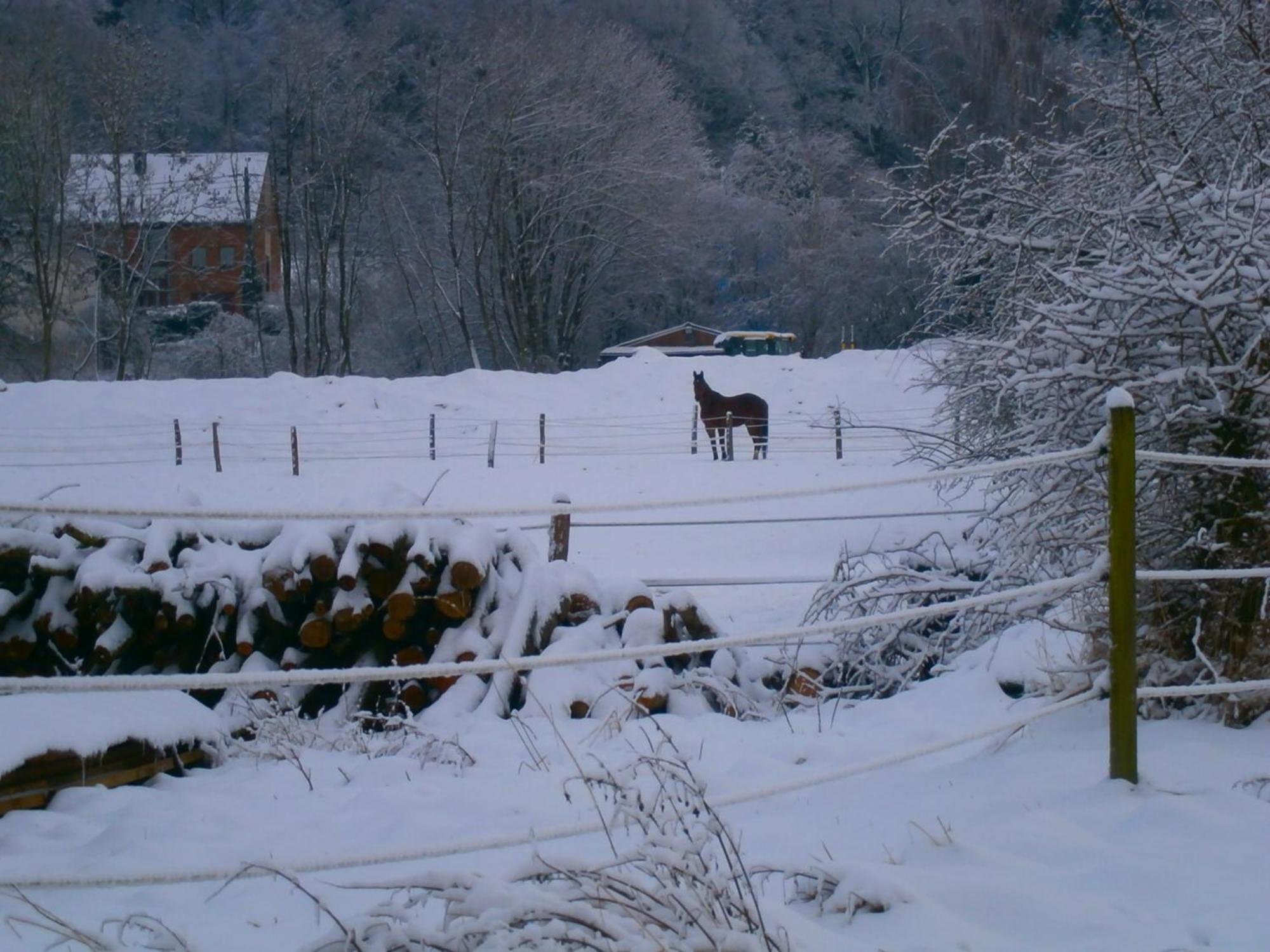 Le Renard'Or Bed & Breakfast Trois-Ponts Exterior foto