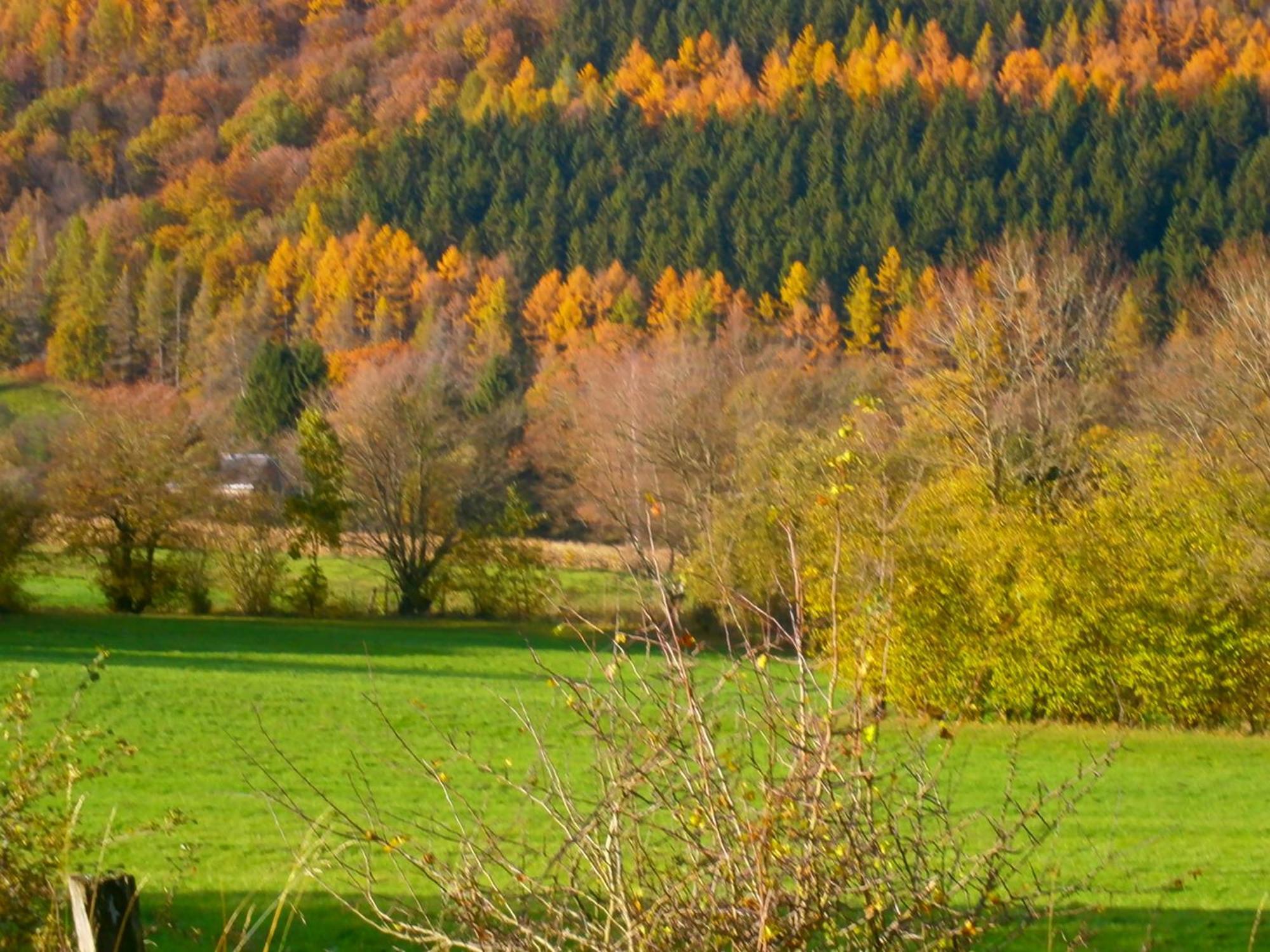 Le Renard'Or Bed & Breakfast Trois-Ponts Exterior foto