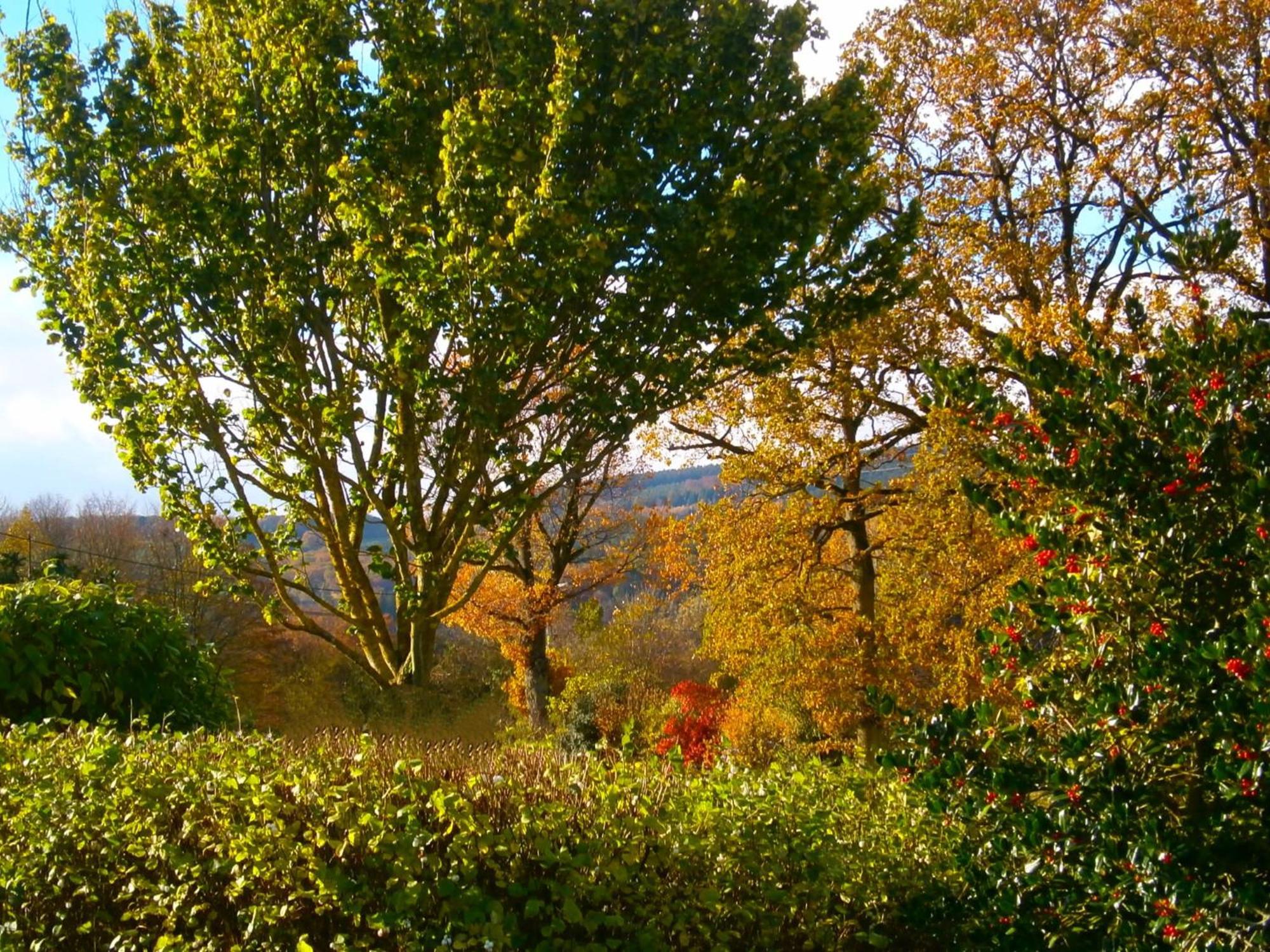 Le Renard'Or Bed & Breakfast Trois-Ponts Exterior foto