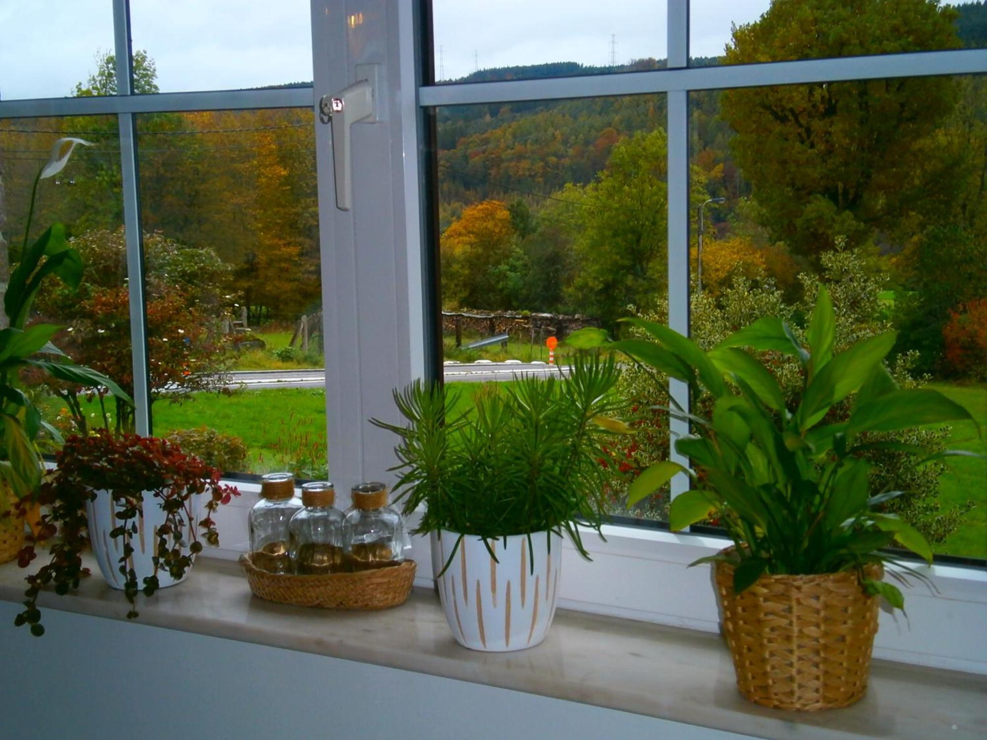 Le Renard'Or Bed & Breakfast Trois-Ponts Exterior foto