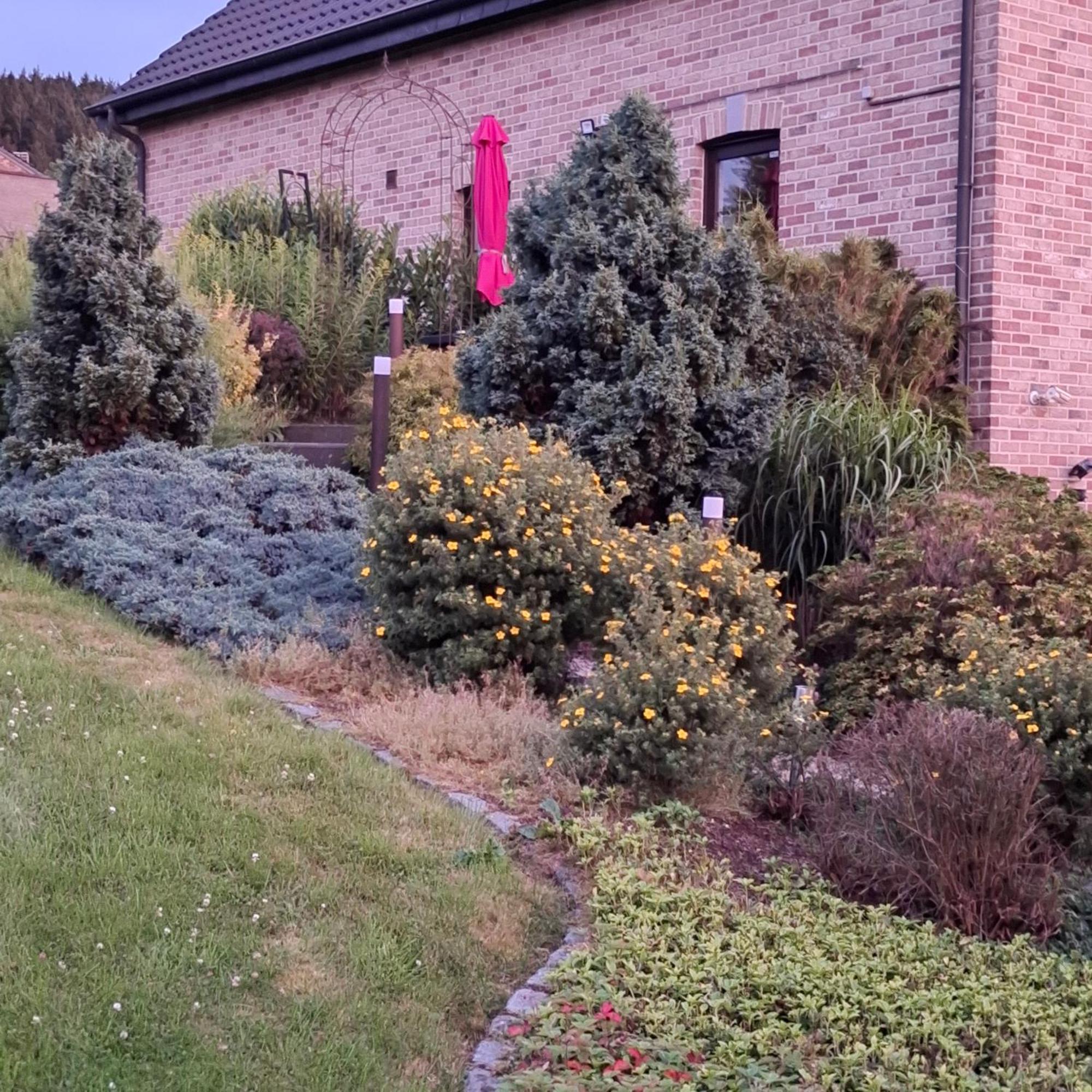 Le Renard'Or Bed & Breakfast Trois-Ponts Exterior foto