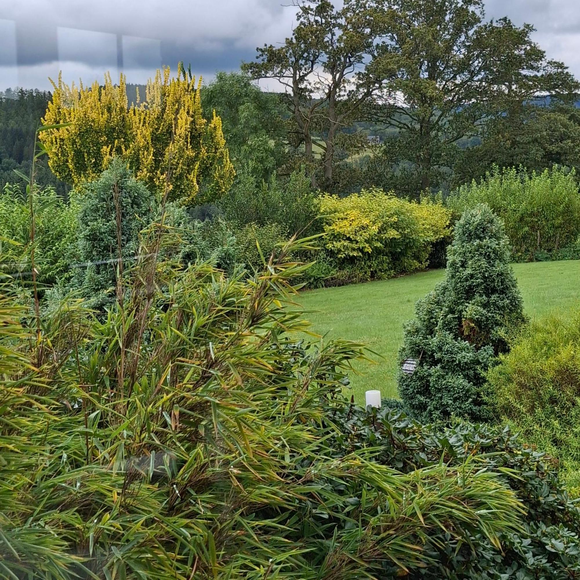 Le Renard'Or Bed & Breakfast Trois-Ponts Exterior foto