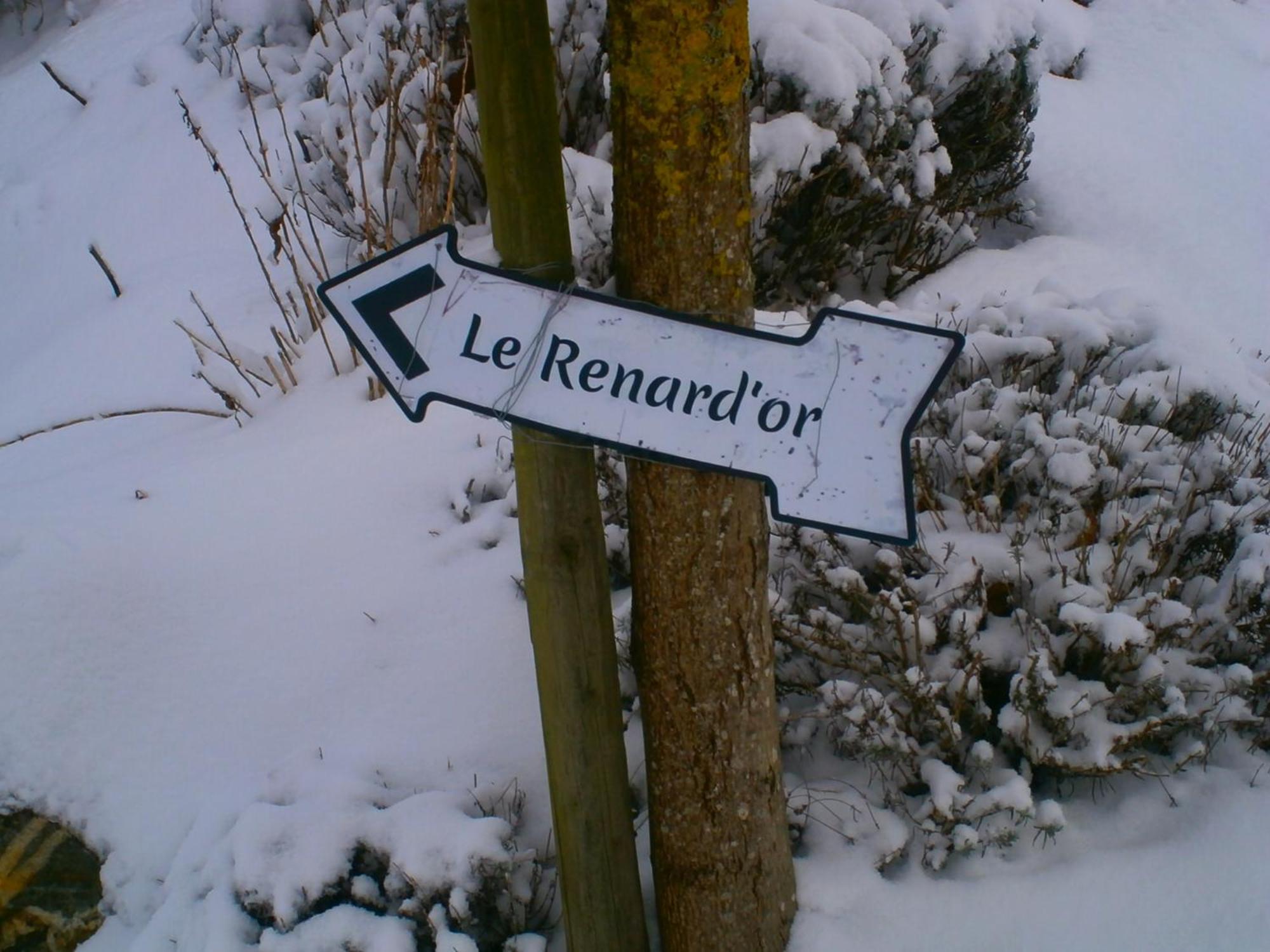 Le Renard'Or Bed & Breakfast Trois-Ponts Exterior foto