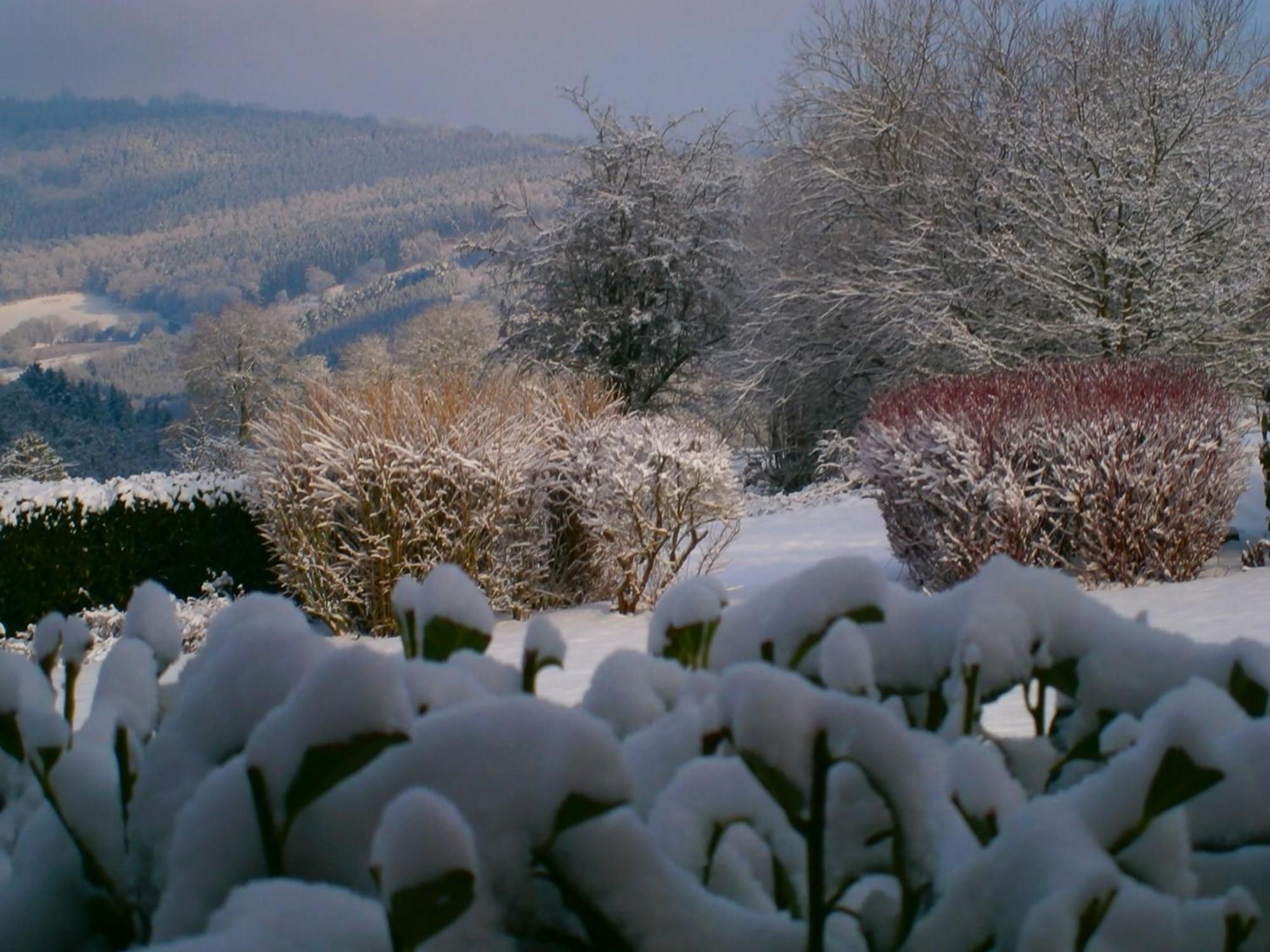 Le Renard'Or Bed & Breakfast Trois-Ponts Exterior foto